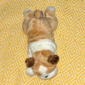 Stuffed animal mops dog.